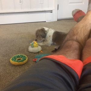 Meet your Posher, Paul